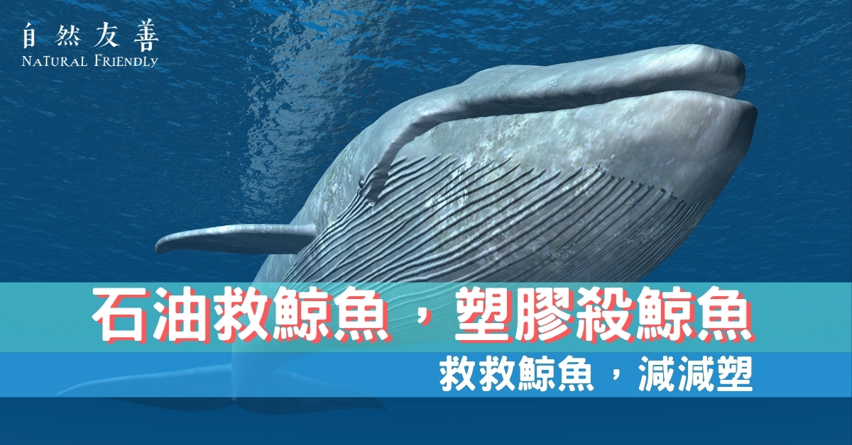 自然友善natural Friendly 自然友善natural Friendly